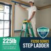 Werner 6 ft. Fiberglass Step Ladder (10 ft. Reach Height) with 225 lb. Load Capacity Type II Duty Rating