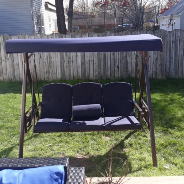 Porch Swing with Canopy