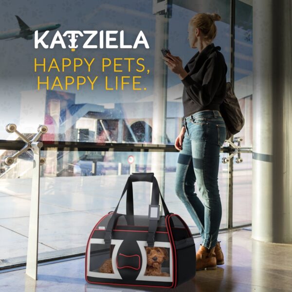 Bone Cruiser PRO Pet Carrier with Removable Wheels and Double Telescopic Handle