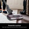 HV322 Rocket Deluxe Pro Corded Stick Vacuum with LED Headlights, XL Dust Cup, Lightweight, Perfect for Pet Hair Pickup, Converts to a Hand Vacuum, with Pet Attachments, Bordeaux/Silver