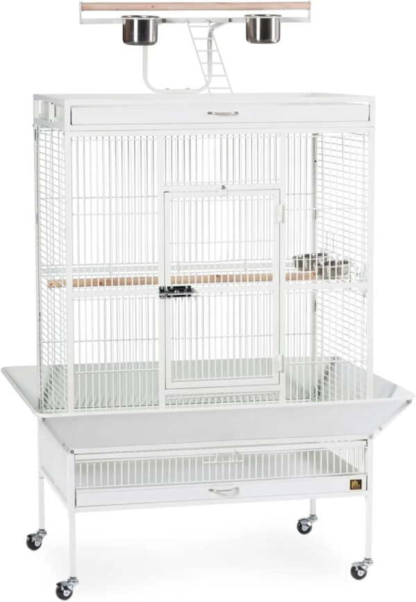 a54216145c3045a08fa794ffdc8dc5fe Wrought Iron Select Bird Cage 3154C, Chalk White, 36-Inch by 24-Inch by 66-Inch