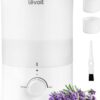Humidifiers for Bedroom Baby, Sprout Evaporative with Dual Filters for Air & Water, Separate Sensor, Adjustable No Blue Nightlight, Auto Dry, Smart Control & Alexa, Auto Mode, 3.8L Tank for 36H