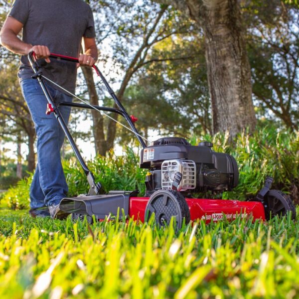 af0ba4d41a004303ba20859190eb541a 20-Inch 125Cc Gas Push Mower with Briggs & Stratton Engine