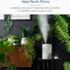 Humidifiers for Bedroom Baby, Sprout Evaporative with Dual Filters for Air & Water, Separate Sensor, Adjustable No Blue Nightlight, Auto Dry, Smart Control & Alexa, Auto Mode, 3.8L Tank for 36H