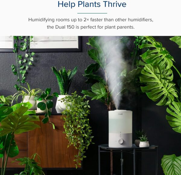 Humidifiers for Bedroom Baby, Sprout Evaporative with Dual Filters for Air & Water, Separate Sensor, Adjustable No Blue Nightlight, Auto Dry, Smart Control & Alexa, Auto Mode, 3.8L Tank for 36H