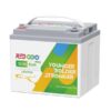 Redodo Portable 12V 50Ah LiFePO4 Lithium Battery 4000-8000 Cycles 10-Year lifetime, Perfect for RV, Camper, Security Devices