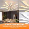 Acrylic Ceiling Light