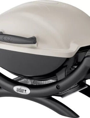 Q 1000 Portable Gas Grill 189 Sq In | Titanium