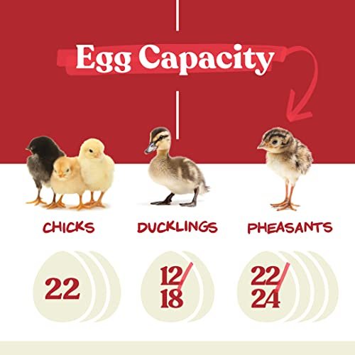 Harris Farms Nurture Right Egg Incubator for Hatching Chicks – Holds 22 Eggs