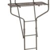 18′ 2 Person Ladder Tree Stand