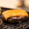 Blue 51080001 Q1200 Liquid Propane Grill