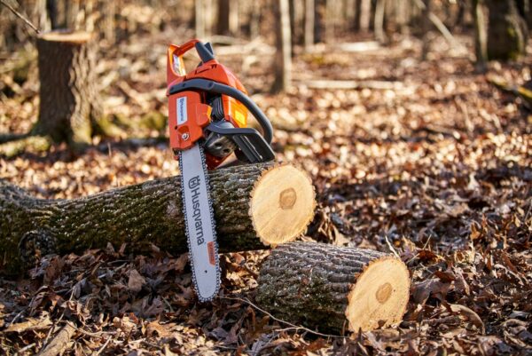 deaa7978aa124ea48c4f05d984c81c03 450 Rancher 20-in 50.2-cc 2-Cycle Gas Chainsaw