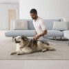 394515-01 Ball Animal 3-Extra Bagless Upright Vacuum Cleaner for Multi Surface with Pet Groom Tool