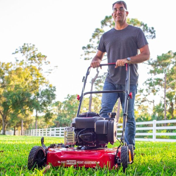 e754f44e4715490fab8497311e0a7f0d 20-Inch 125Cc Gas Push Mower with Briggs & Stratton Engine