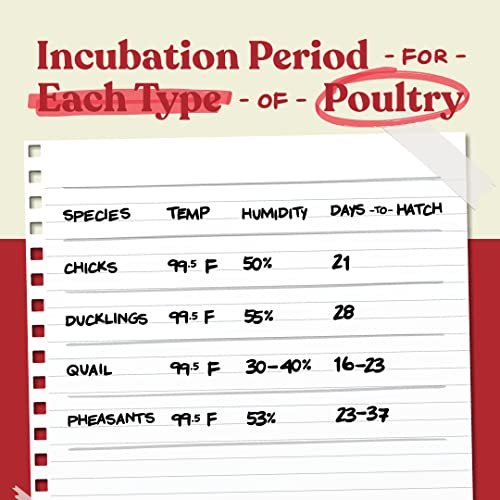 f2dec5a0352d4c9fa1b376f1ece87bcf Harris Farms Nurture Right Egg Incubator for Hatching Chicks – Holds 22 Eggs