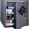 Key Lock Box, Outdoor Lock Box Bundle with SentrySafe Fireproof and Waterproof Safe, 1.23 Cubic Feet